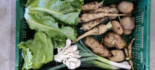 Load image into Gallery viewer, Subscription Veggie box 24 weeks
