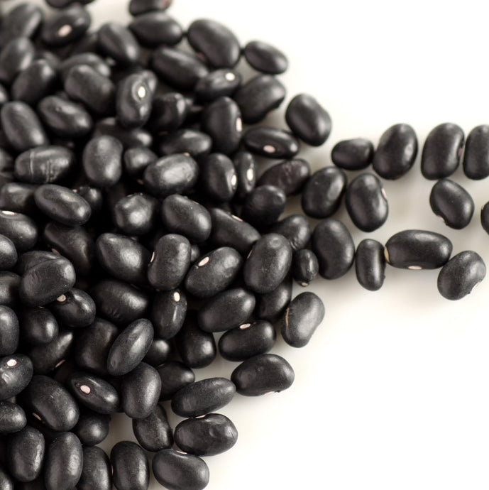 Black Beans Photograph by Stacy Spensley