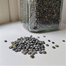 Load image into Gallery viewer, Green lentils grown in Belgium in glass clip-top jar
